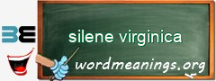 WordMeaning blackboard for silene virginica